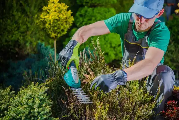 landscaping services Elmira
